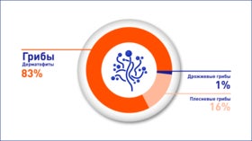 На курс лечения нужна только 1 упаковка лака против грибка